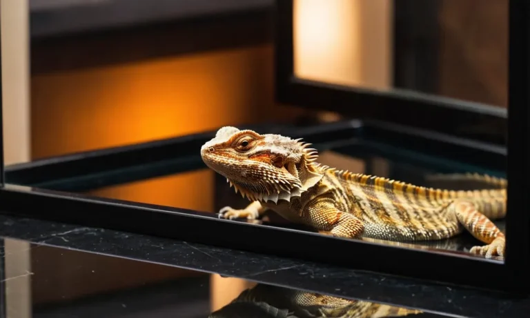 Are Bearded Dragons Smart? The Surprising Intelligence Of These Lovable Lizards