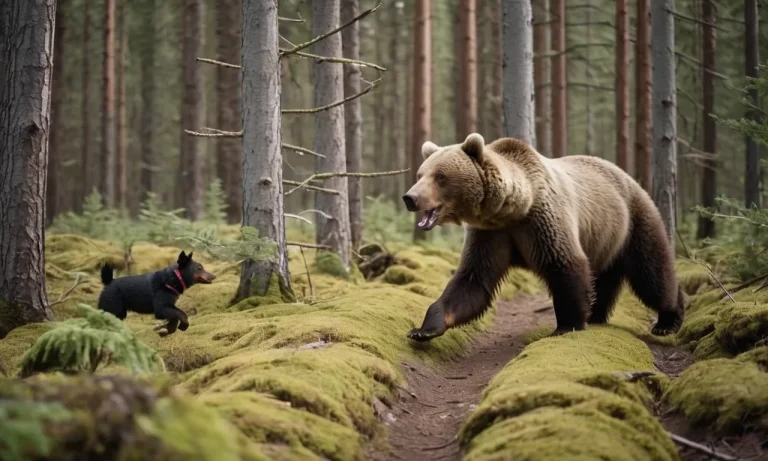 Can A Dog Outrun A Bear? An In-Depth Analysis