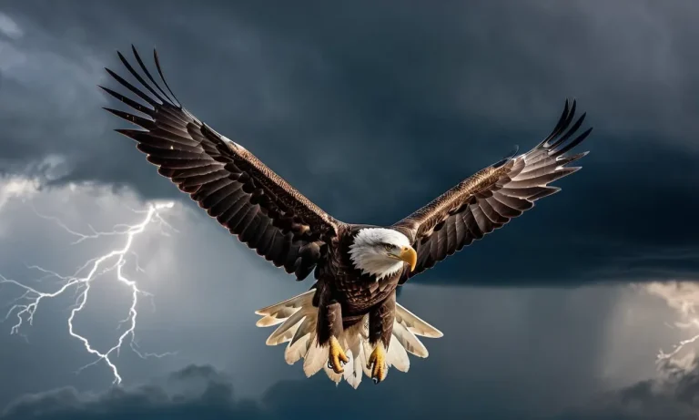Can Eagles Fly Above Storms?