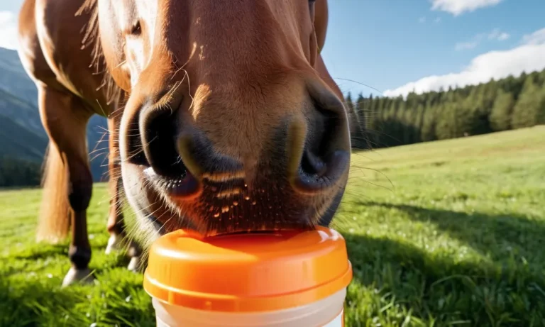 Can Horses Have Gatorade? A Detailed Look