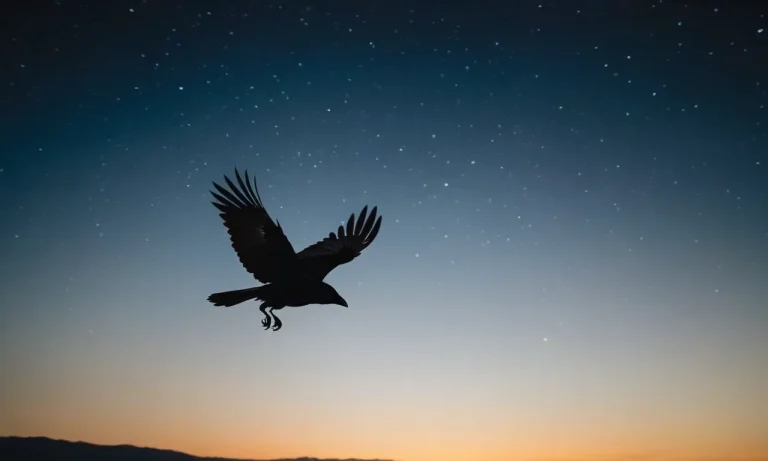 Do Crows Fly At Night? A Detailed Look At Crow Behavior After Dark