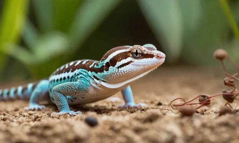 Do Geckos Eat Ants? A Detailed Look At Gecko Diets