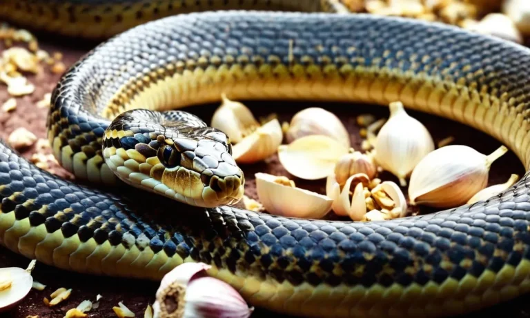 Do Snakes Hate Garlic?