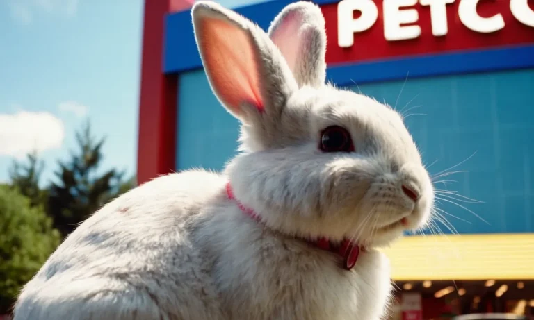 Does Petco Sell Bunnies? A Detailed Look