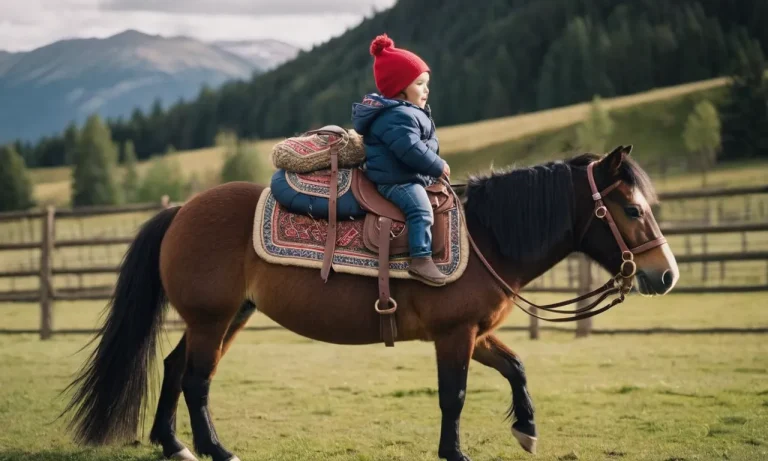 How Much Weight Can A Miniature Horse Carry?