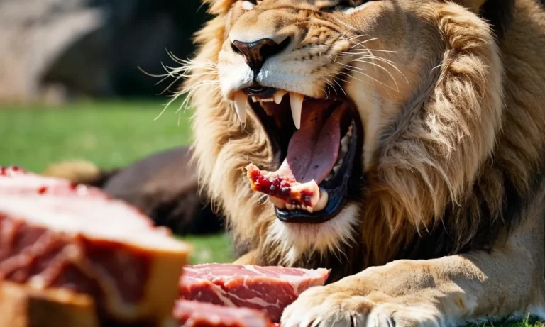 What Does Lion Meat Taste Like? A Detailed Look