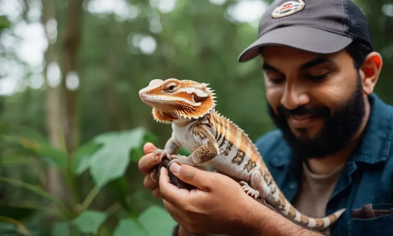 What Exotic Pets Are Legal In Georgia?