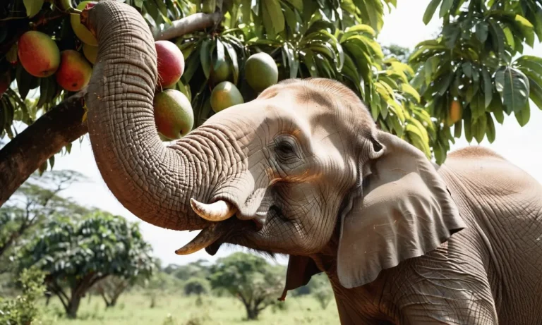 What Fruits Do Elephants Eat: A Complete Guide