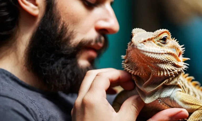 Why Are Bearded Dragons So Friendly?