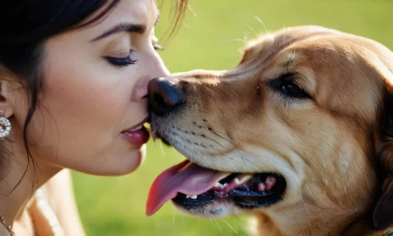 Why Does My Dog Lick My Tears? The Science Behind This Behavior